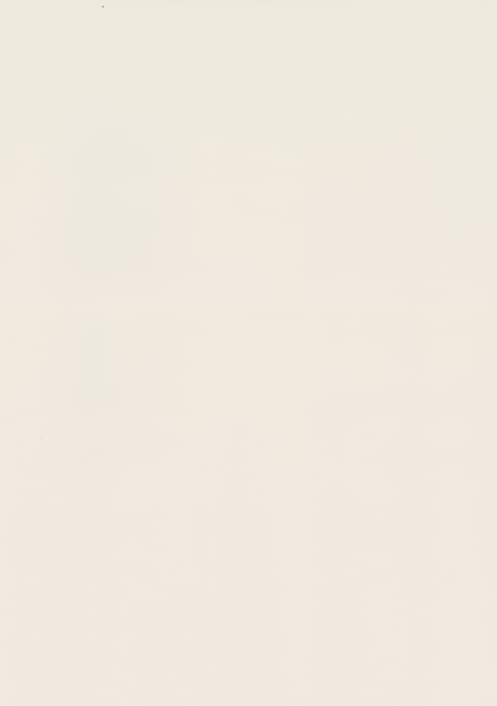 Kvadrat Haku 0101 - 140 cm