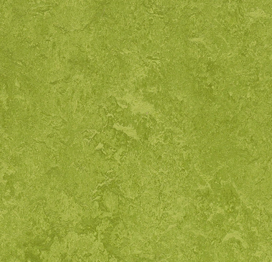 Forbo Marmoleum Fresco - 3247 green
