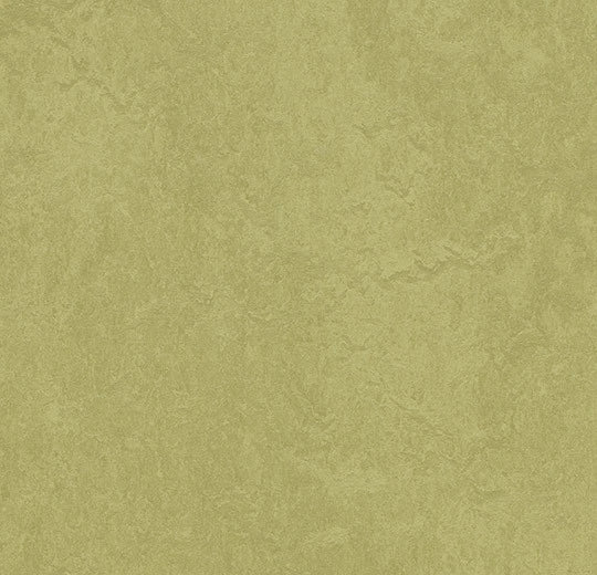 Forbo Marmoleum Fresco - 3265 avocado