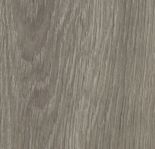 Forbo Allura DR4 Wood 2023 - 60280DR4 grey giant oak (180x32 cm)