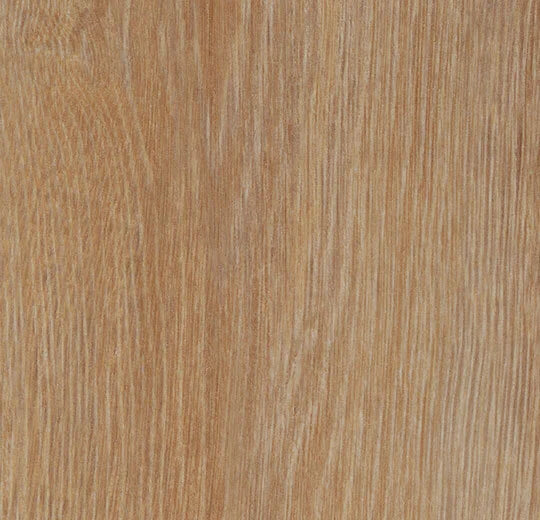 Forbo Allura DR4 Wood 2023 - 60295DR4 pure oak (120x20 cm)
