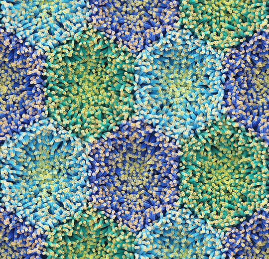 Forbo Flotex by Mac Stopa - 360001F blue anemone