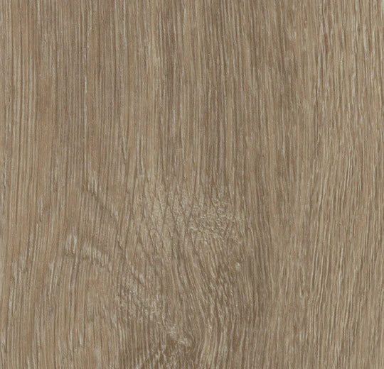Forbo Allura Click Pro 2023 - 60288CL5 light giant oak (150.5x23.7 cm) - officieel webbeeld