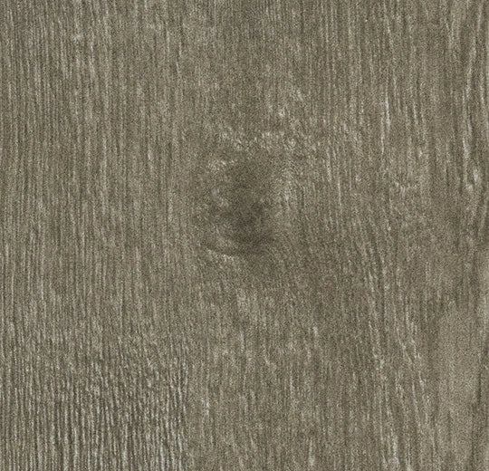 Forbo Flotex Wood planks 2026 - 151010 drift wood