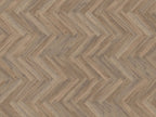 mFLOR Parva Oak – Calabria