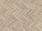 mFLOR Parva Oak – Sardinia