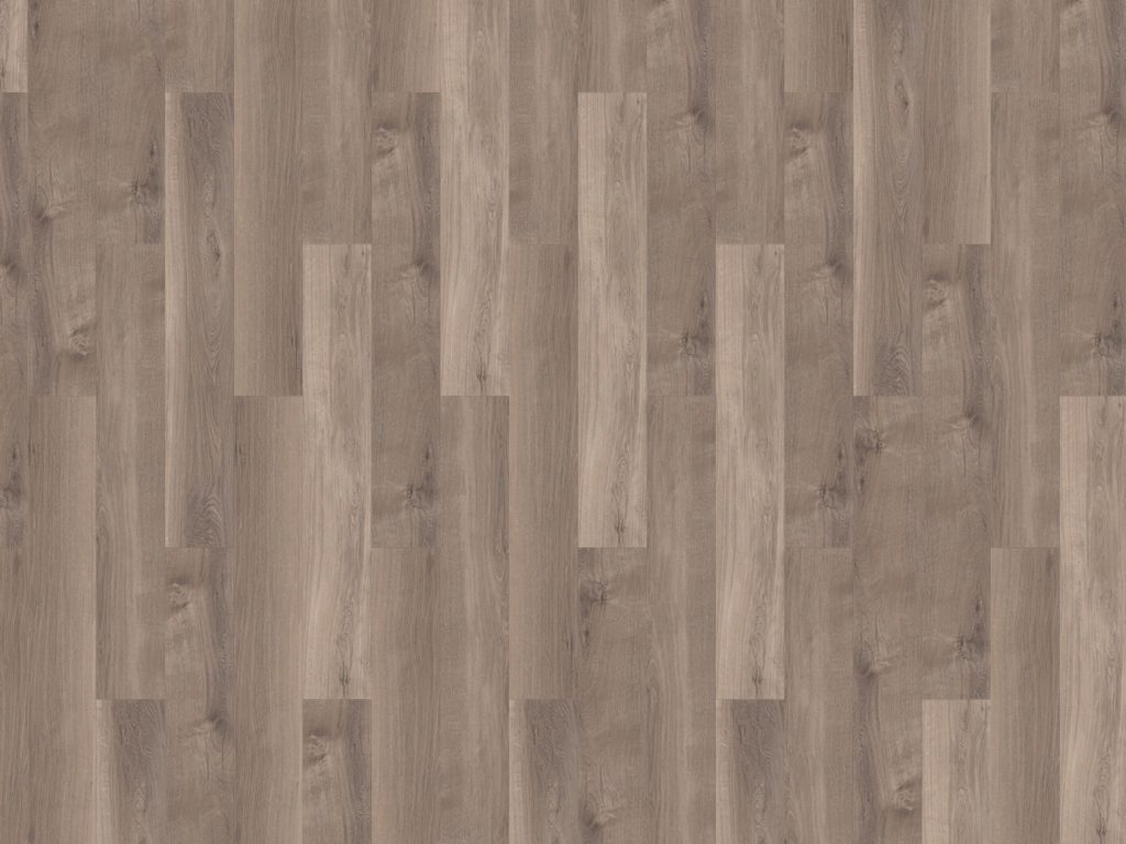 mFLOR Broad Leaf Smoky Sycamore