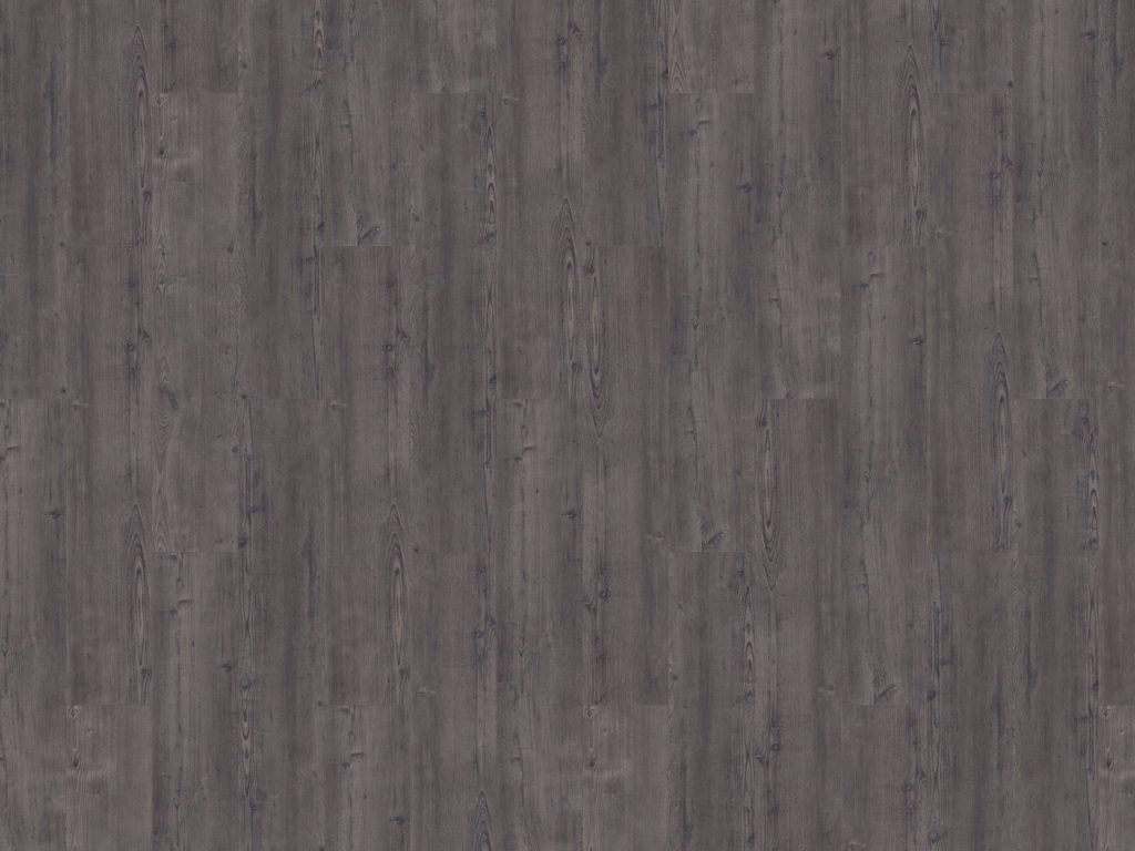 mFLOR Argyll Fir Montrose