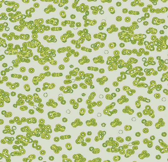 Forbo Flotex Vision FR digital library - 990203FR Bacteria