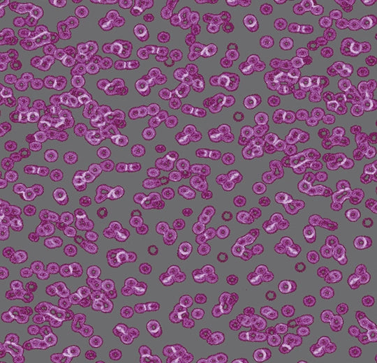 Forbo Flotex Vision FR digital library - 990301FR Bacteria