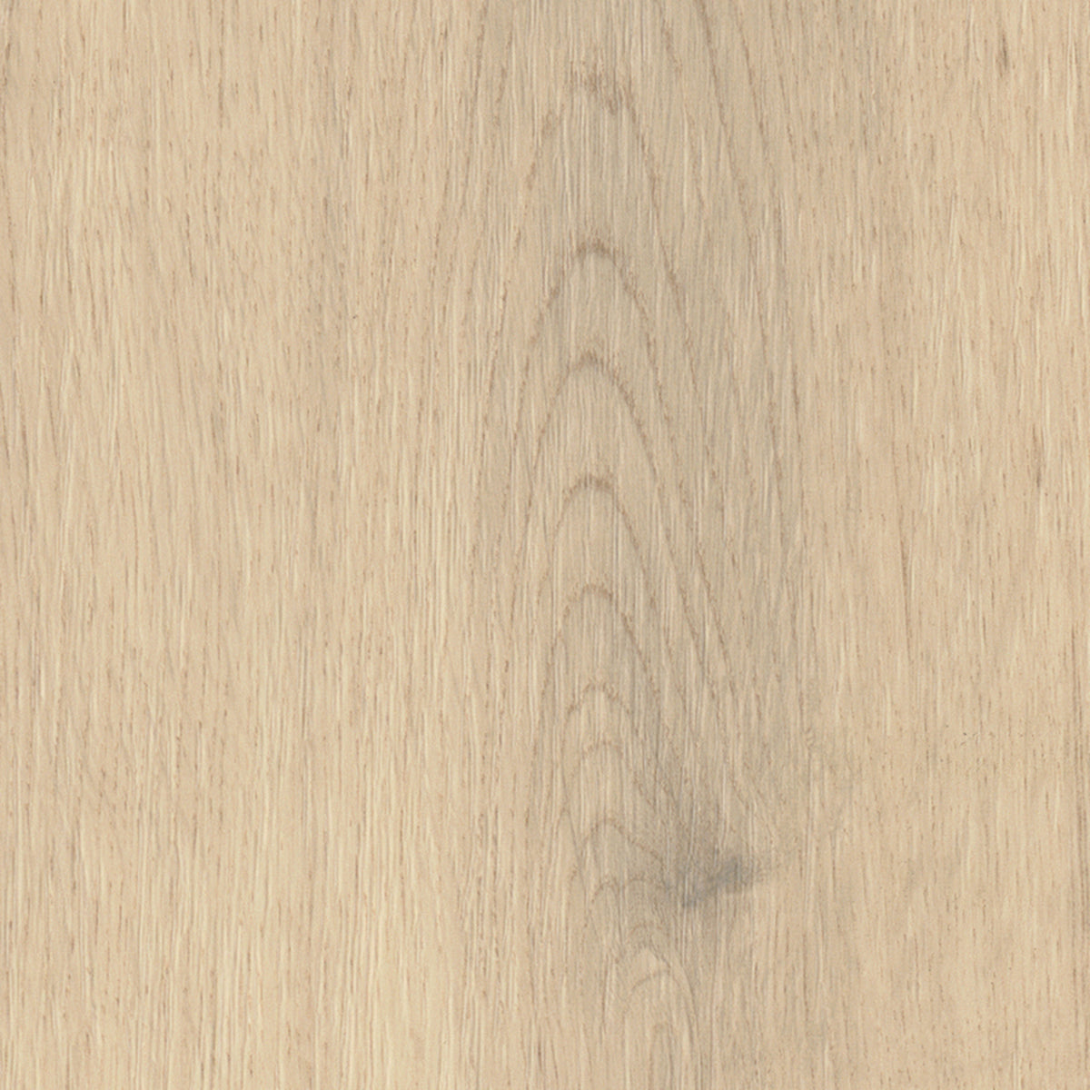 Amtico Marine Laholm Oak AM5W6230