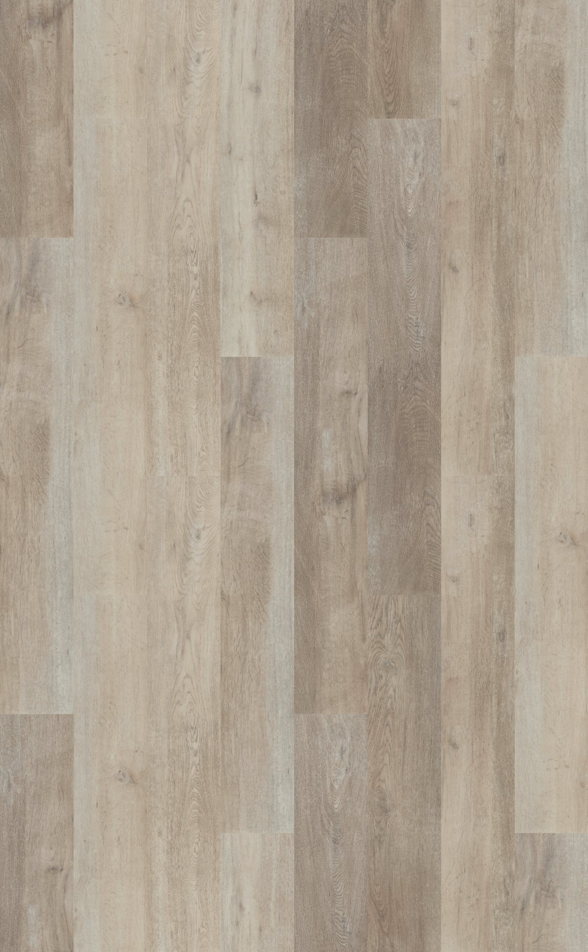 Forbo Allura Click Pro 2023 - 60350CL5 white autumn oak (121.2x18.7 cm)