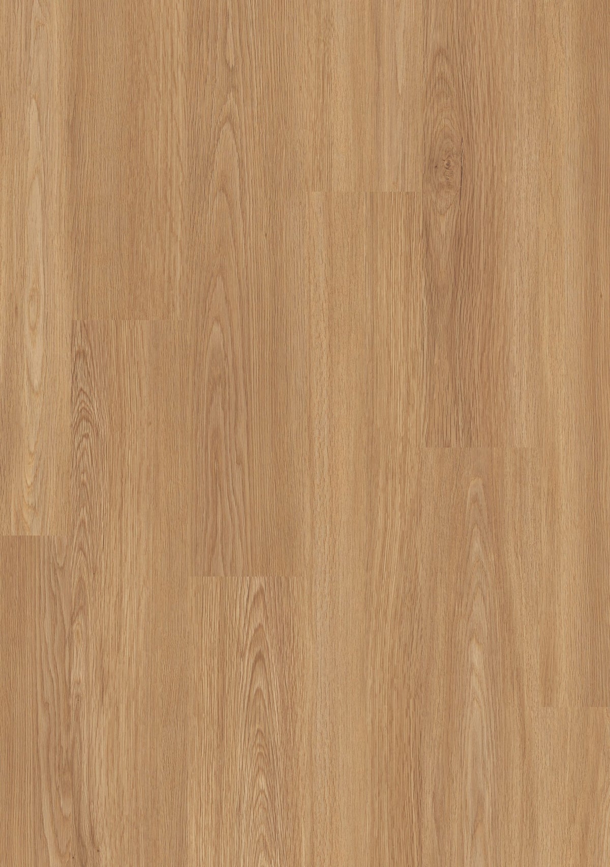 Beautifloor Ardennen | Ciney