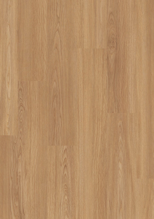 Beautifloor Ardennen | Ciney
