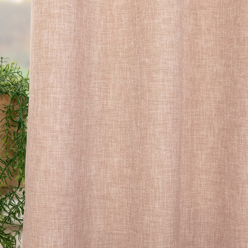 Barista – Blush – 82 — 300 cm