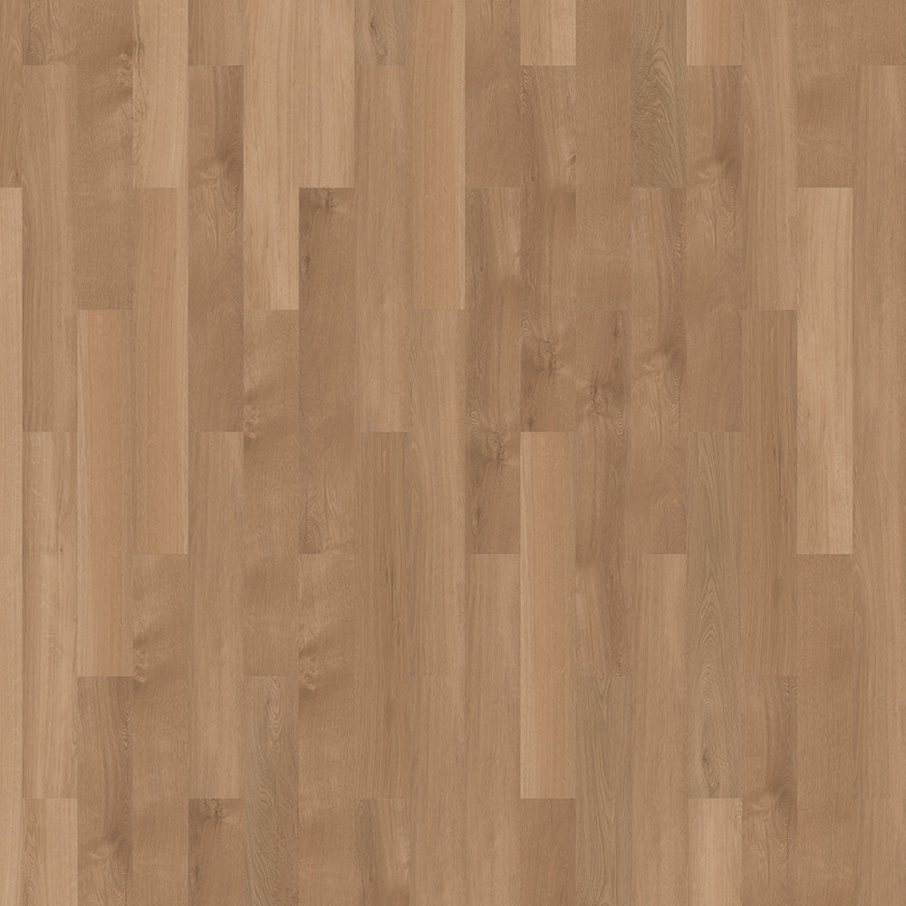 mFLOR Solcora+ Broad Leaf Pure Sycamore - Klik PVC