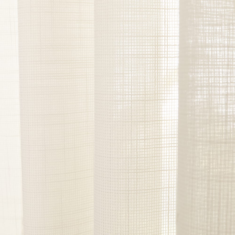Coffea – Champagne – 13 — 320 cm