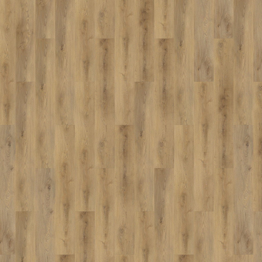 mFLOR Solcora+ Colton Alyssa - Klik PVC
