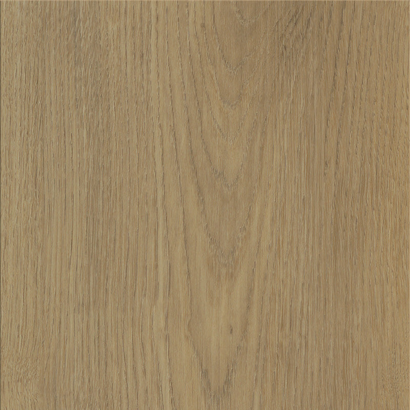 mFLOR Solcora+ Colton Ralph - Klik PVC