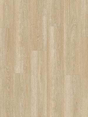 Drenthe PVC Plak Borger