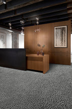 Interface E611 - Granite - ruimtebeeld