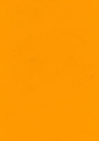 Kvadrat Divina 3 0426 - 150 cm