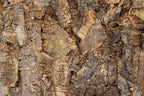 Floer Akukurk Wandpanelen – Boomschors Onbewerkt
