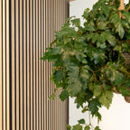 Detail van een lamellenwand naast groene bladeren.