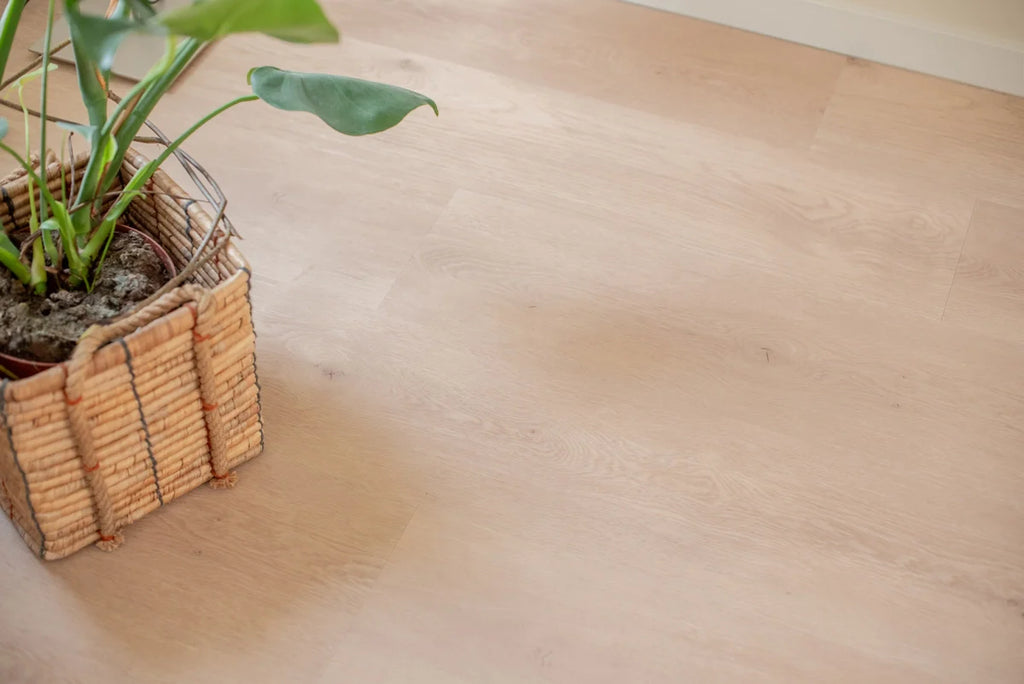 Vloer met rechte planken naast een plant.