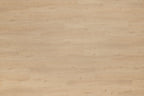 Floer Dorpen PVC – Grolloo Grijsbeige Eiken