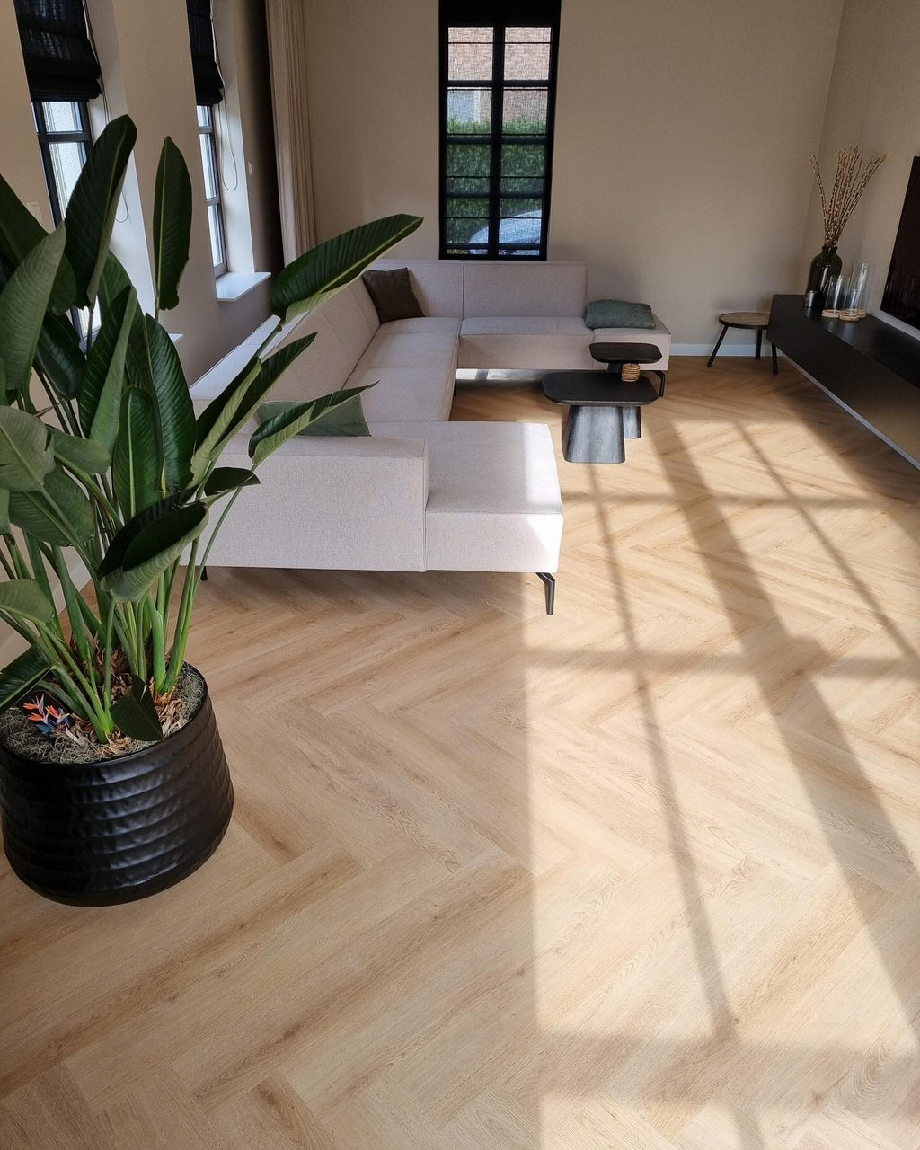 Floer Walvisgraat PVC – Cetus Crème