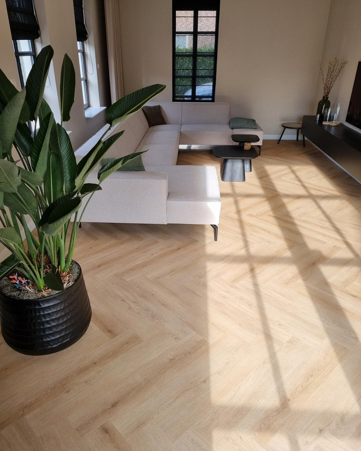 Floer Walvisgraat PVC – Cetus Crème
