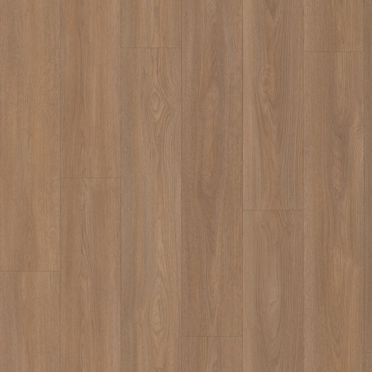 Vivafloors Eiken 8550 - Click