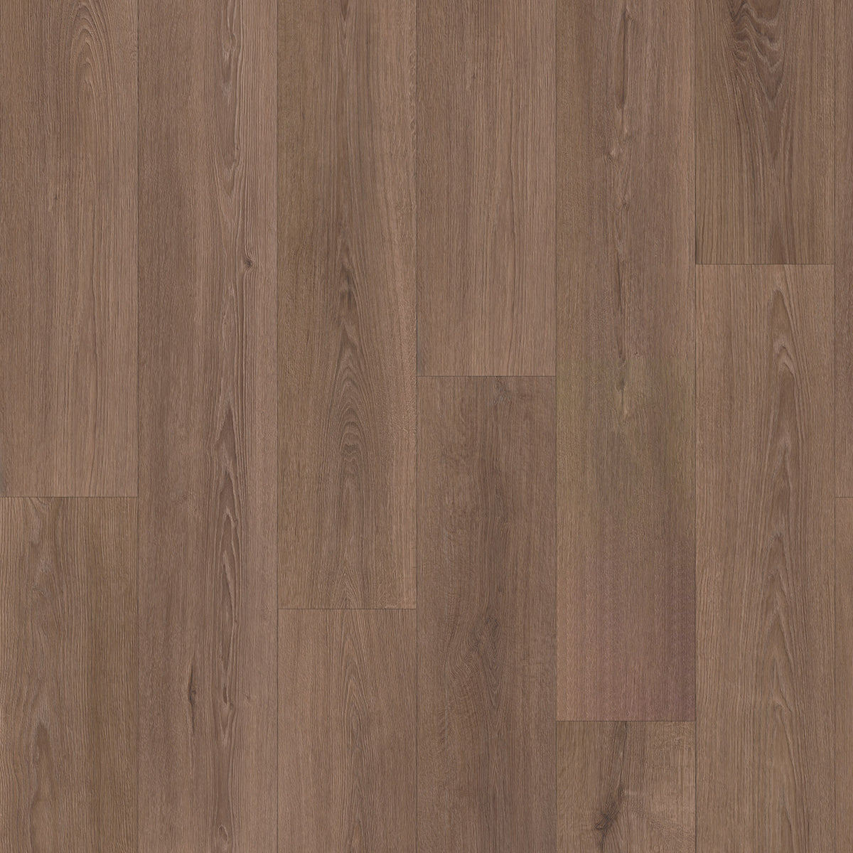 Vivafloors Eiken 9050 - Click