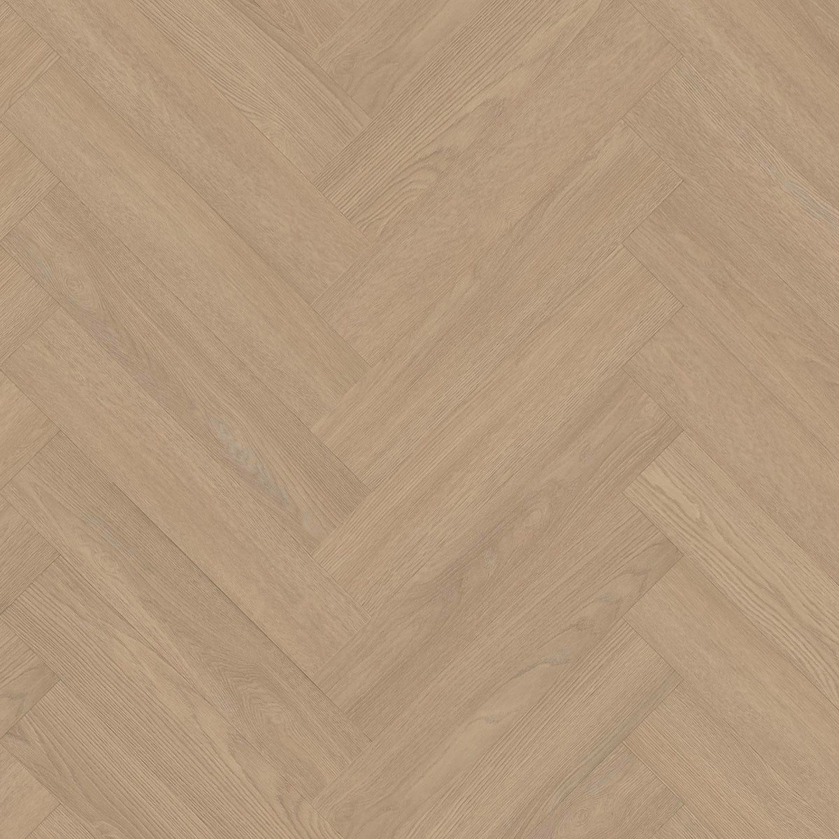 Vivafloors Visgraat 8540 - Lijm