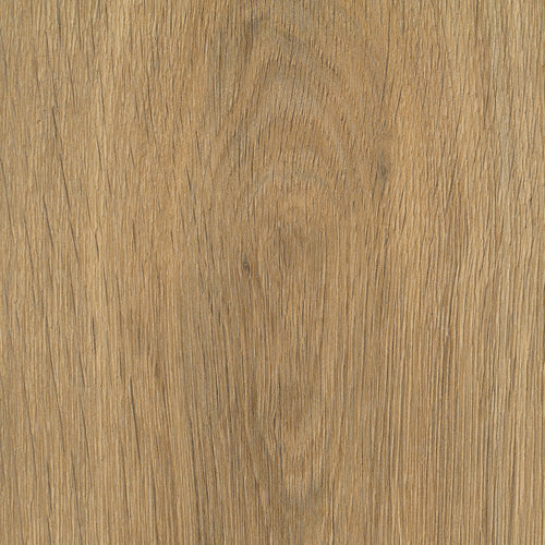 Amtico Spacia Guild Oak SS5W1230
