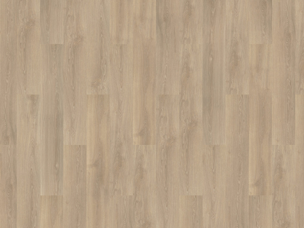mFLOR Solcora+ River Oak Po - Klik PVC