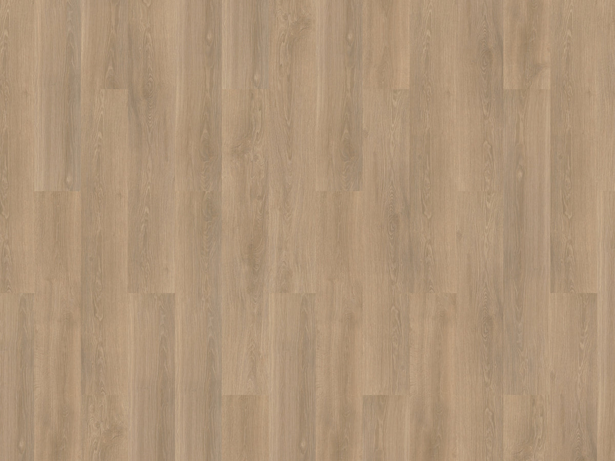 mFLOR Solcora+ River Oak Rhone - Klik PVC