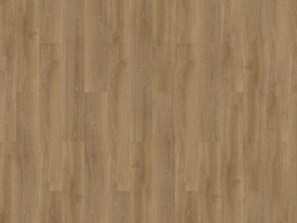mFLOR Solcora+ River Oak Danube - Klik PVC
