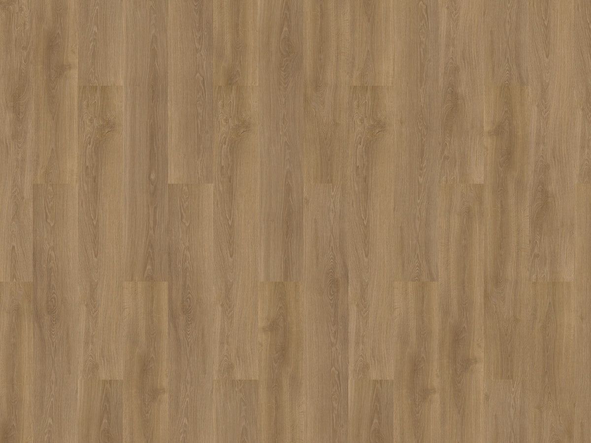 mFLOR Solcora+ River Oak Danube - Klik PVC