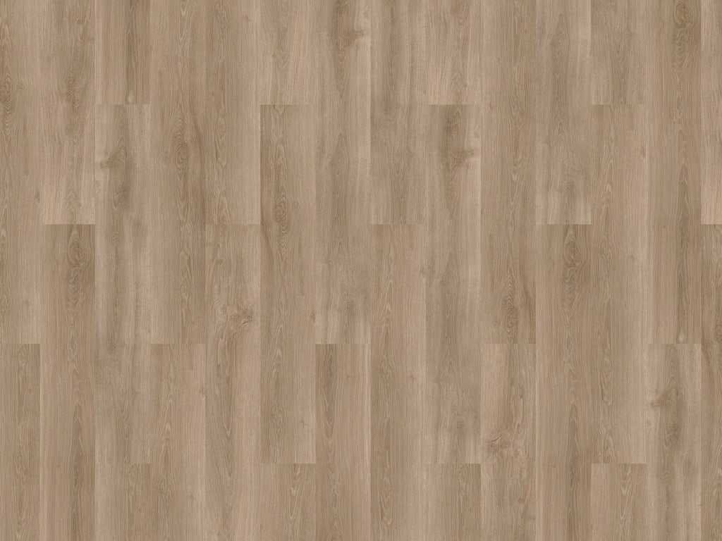 mFLOR Solcora+ River Oak Douro - Klik PVC