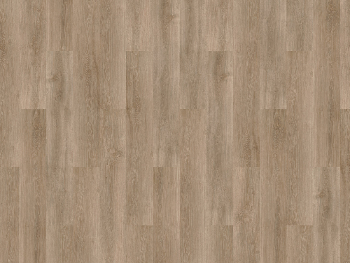 mFLOR Solcora+ River Oak Douro - Klik PVC