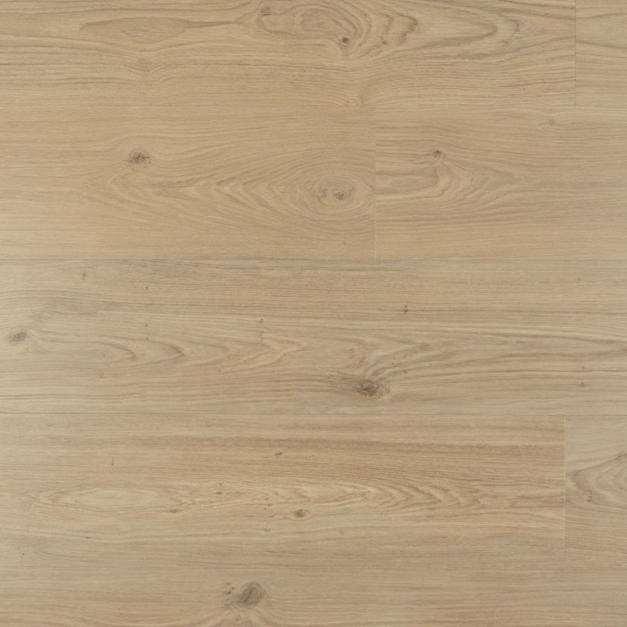 Douwes Dekker Ambitieus Riante plank panna cotta Plak-PVC