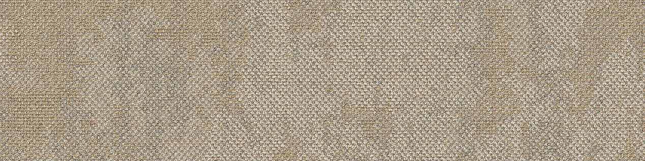 Drybark