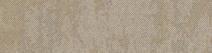 Drybark