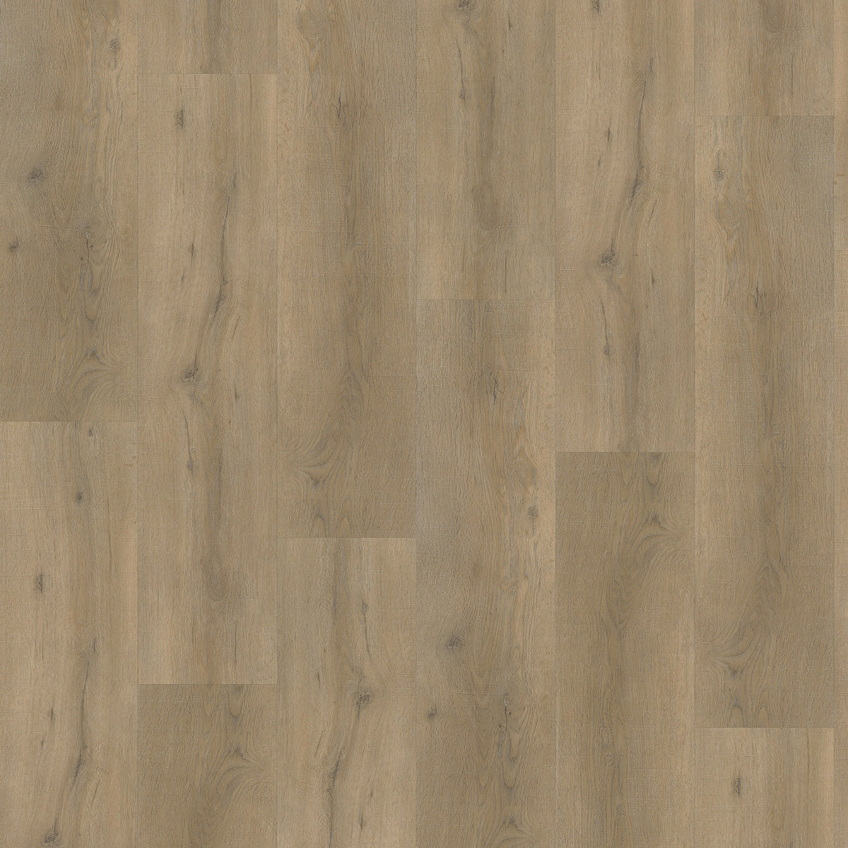 Vivafloors Eiken 6850 - Click