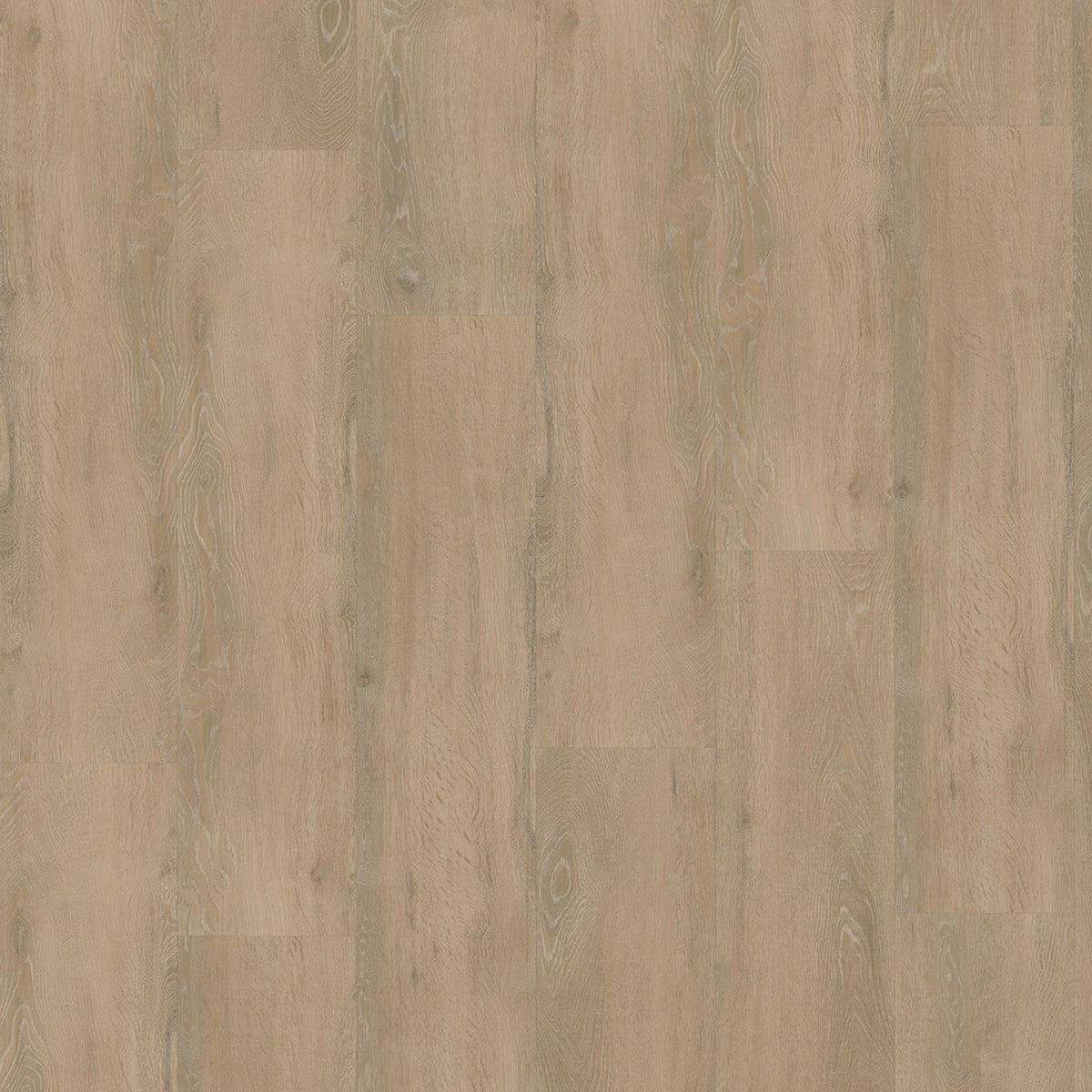 Vivafloors Eiken 8360 - Click