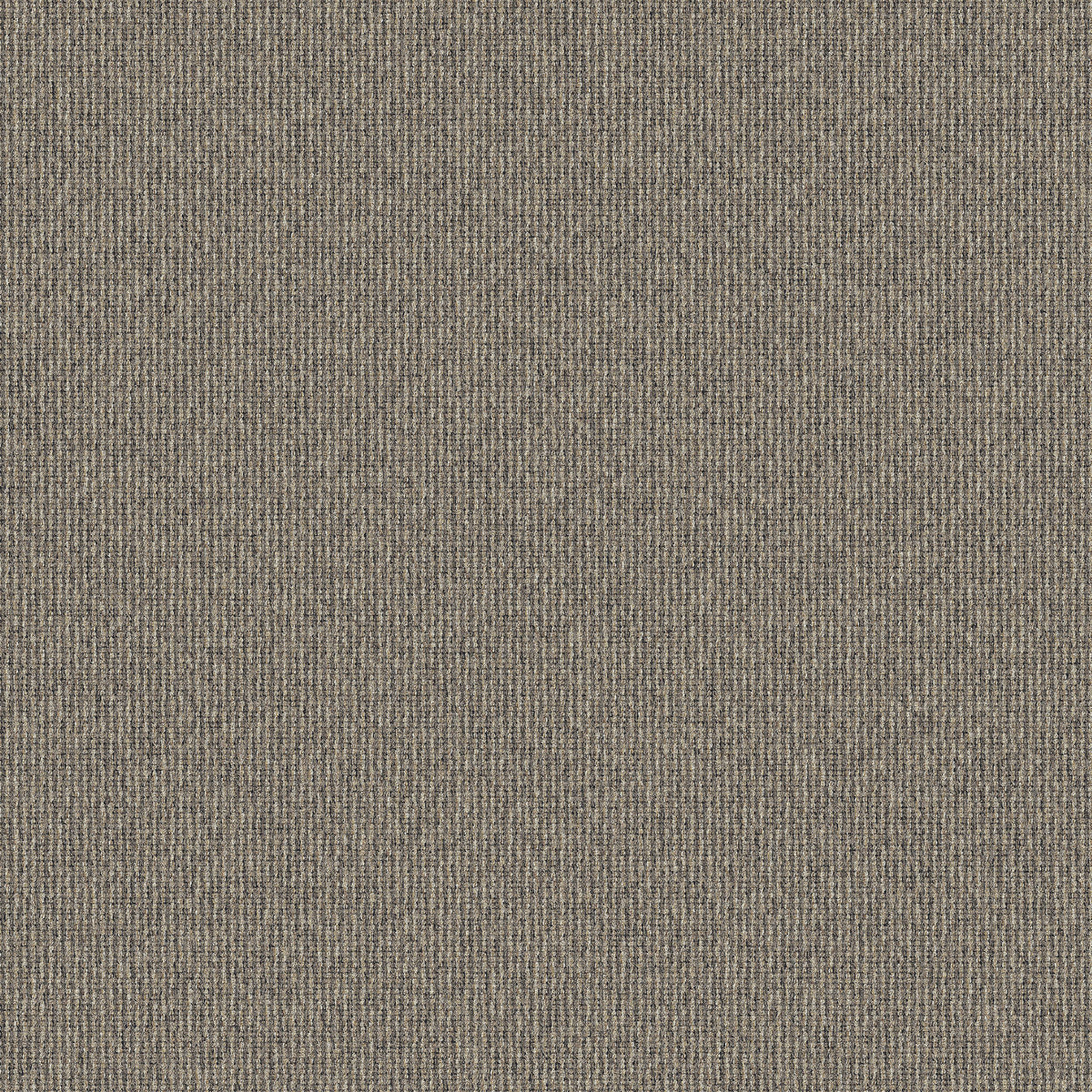 Interface Elevation III - Brocatello
