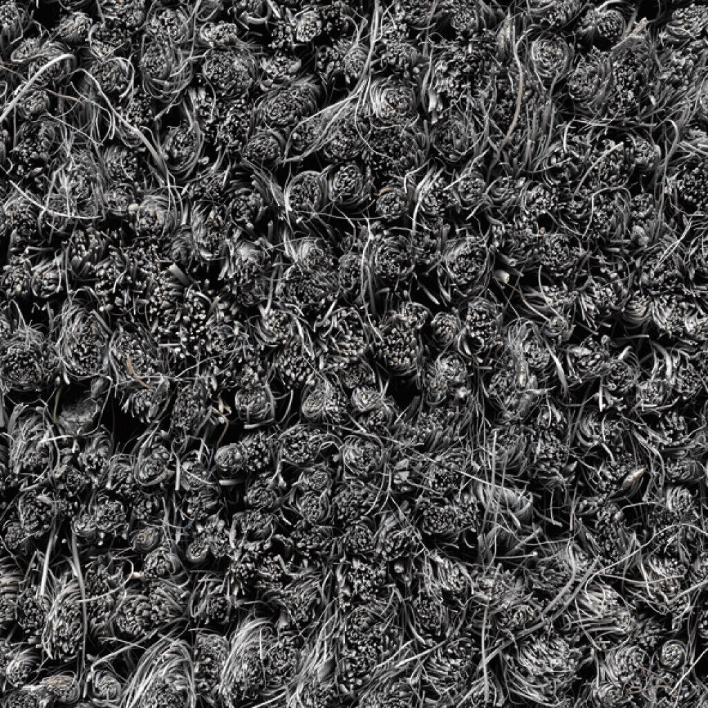 Hamat - Ruco Coir 17 mm - 200 cm - Rollen - 014 Licht Grijs