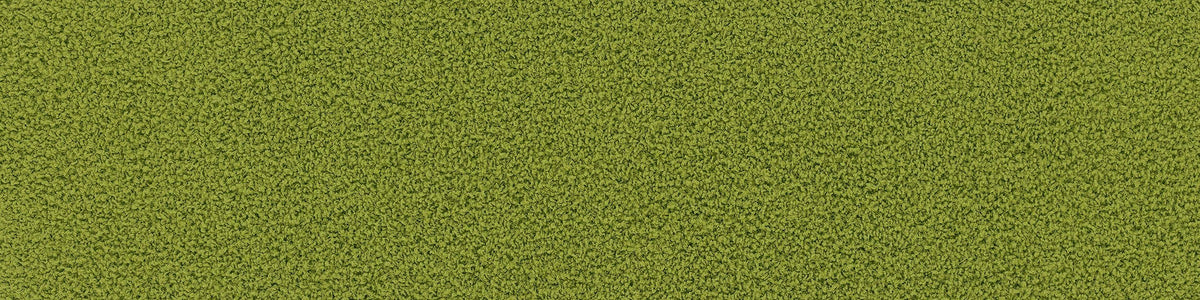 Interface HN830 - Kiwi